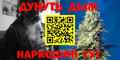 ешки Кингисепп
