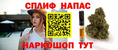 ешки Кингисепп