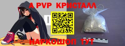 ешки Кингисепп