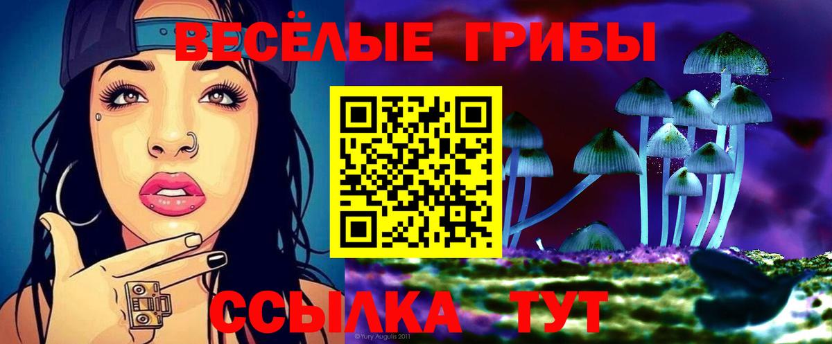 наркота  Вход с VPN  Волгодонск  Галлюциногенные грибы Psilocybe 