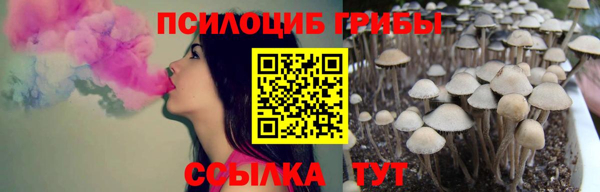 Галлюциногенные грибы MAGIC MUSHROOMS Волгодонск